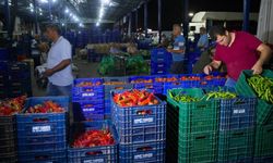 AKİB: Irak, yaş meyve sebze ihracatında lokomotif pazar oldu