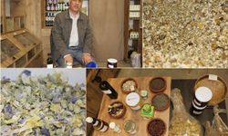 Bağışıklık sistemini güçlü tutmak için şifalı bitkilerle kışa hazırlık