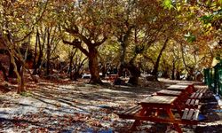 Batman'ın saklı cenneti kınalı mesire alanı, ziyaretçilerini ağırlamaya hazırlanıyor