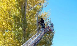 Bingöl Karlıova belediyesinden ağaç kesimi yapan vatandaşlara itfaiye desteği