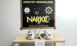 Bingöl’de 14 kilo 350 gram skunk ele geçirildi