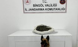 Bingöl’de durdurulan araçta 2 kişi gözaltına alındı