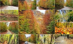 Bursa sonbaharda göz kamaştırıyor