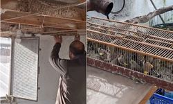 Bursa’da kaçak av operasyonu: İki şahsa 415 bin TL ceza