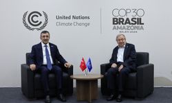 Cumhurbaşkanı Yardımcısı Yılmaz, BM Genel Sekreteri Guterres ile görüştü