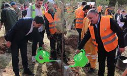 DEPSAŞ Enerji’den Diyarbakır'daki Makam Dağı’na 3 bin fidan