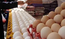 Diyarbakır'da yumurta fiyattaki istikrarını koruyor