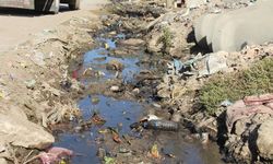 Diyarbakır’ın Dedeköy Mahallesi'ndeki altyapı sorunu hastalık saçıyor