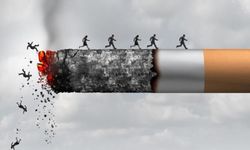 DSÖ: Tütün her yıl 7 milyon kişinin ölümüne neden oluyor