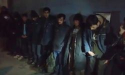 Edirne'de 9 düzensiz göçmen yakalandı