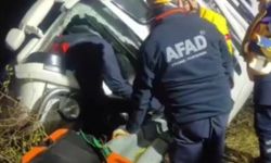 Elazığ’da bariyerlere çarpan kamyonun sürücüsü yaralandı