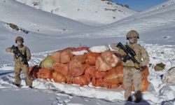 Hakkâri ve Ağrı’da 1 tonun üzerinde uyuşturucu ele geçirildi