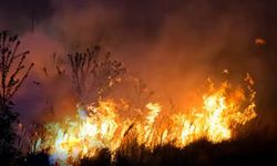 Hakkari'deki Nehil Sazlığı alevlere teslim oldu