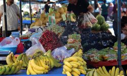 Hal Kanunu’nun yılbaşında Meclis’e sunulması bekleniyor