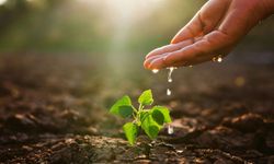 İklim krizi hububat ekimini geciktirdi