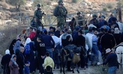 İşgal rejimi, Nablus’ta çiftçilerin zeytinliklere erişimini engelledi