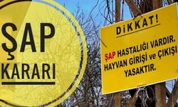 İstanbul'da şap karantinası