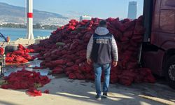 İzmir’de 27 ton kaçak midye ele geçirildi