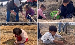Konya'da bir günde 33 binden fazla fidan toprakla buluştu