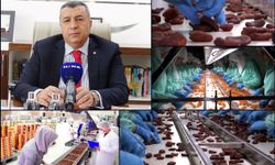 Malatya kayısısında ihracat 10 ayda 41 bin tonu geçti