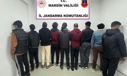 Mardin’de biri organizatör 9 düzensiz göçmen yakalandı