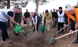 Mardin’de "Geleceğe Nefes" temasıyla 5 bin fidan toprakla buluştu
