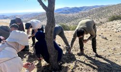 Mardin'de İmam Hatip öğrencilerinden "Yeşil Vatan" projesine destek 