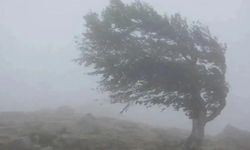 Meteoroloji 4 il için sarı kod verdi: Sağanak, dolu ve hortum ihtimali