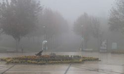 Meteoroloji'den sağanak ve sis uyarısı