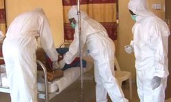 Nijerya'da Lassa ateşi nedeniyle ölenlerin sayısı 177'ye yükseldi