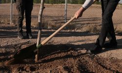 OGM: 30 milyon fidan sahiplenildi