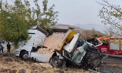 Şanlıurfa’da iki kamyon çarpıştı: 1 ölü, 1 ağır yaralı