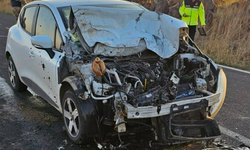 Şanlıurfa’da önlemsiz şekilde duran kamyonet kazaya neden oldu