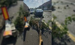 Şanlıurfa’da trafik kazası: 3 kişi yaralandı