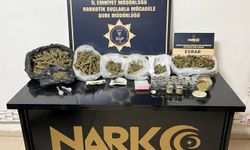Şanlıurfa’da uyuşturucu operasyonu: Çok miktarda esrar ele geçirildi