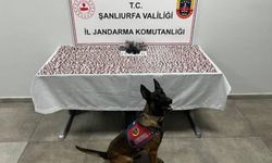 Şanlıurfa’da uyuşturucu operasyonunda sentetik ecza ve silah ele geçirildi