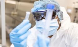 Senegal'de Rift Vadisi Ateşi salgınında ölü sayısı artıyor