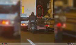 Seyir halindeki tırdan hayvan çalan şüpheliler yakalandı