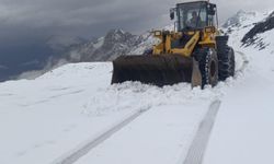 Şırnak'a yılın ilk karı düştü, Beytüşşebap'ın yüksek kesimleri beyaza büründü