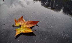Ülkenin batısında yağış, iç kesimlerde sis bekleniyor