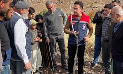 Üreticilere Siirt fıstığında doğru budama eğitimi