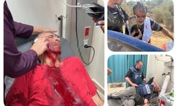 Yahudi çetelerden Filistinli çiftçilere vahşi saldırı