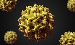 Yılbaşından bu yana Afrika'da 20 binden fazla şüpheli difteri vakası tespit edildi