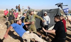 Zeytin hasadı döneminde işgalcilerden 259 saldırı