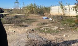 Adana’da yol kenarında kadın cesedi bulundu