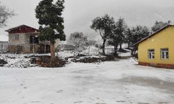 Adana’nın yüksek kesimleri beyaza büründü