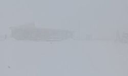 Ağrı, Ardahan, Erzurum, Kars, Iğdır ve Tunceli'de kar yağışı etkili oldu