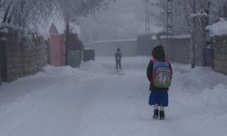 Ağrı’da Murat Nehri buz tuttu, şehirde sis görüş mesafesini düşürdü