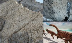 Alpler’de 200 milyon yıllık tarihi keşif: Binlerce dinozor ayak izi dikey kayalarda ortaya çıktı