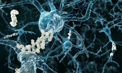 Alzheimer’a erken müdahale umudu: Deneysel ilaç beyindeki hasarı azalttı